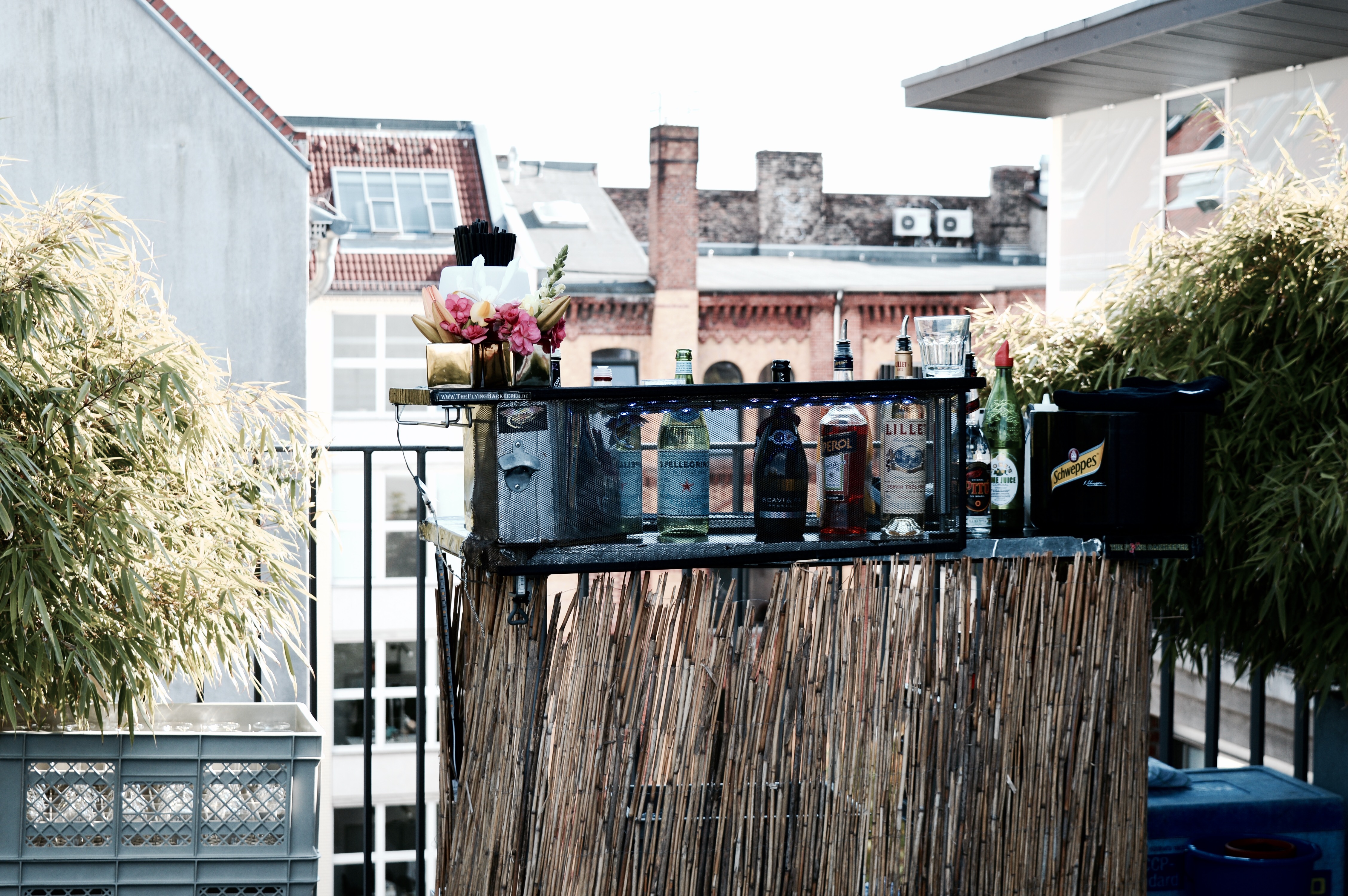 Foto 28.06.16, 17 03 35