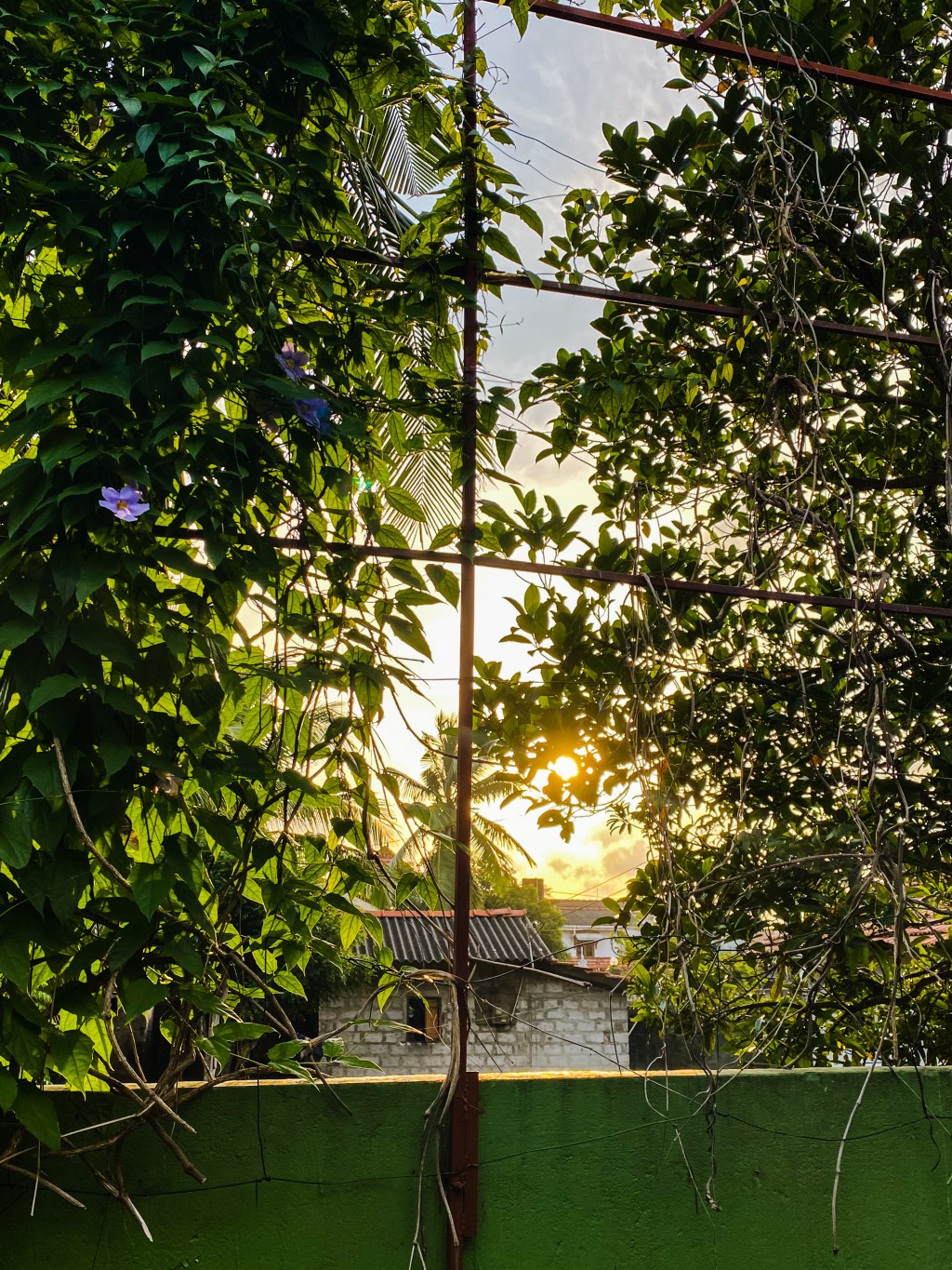 Travels, Pandemic, First&nbsp;Day